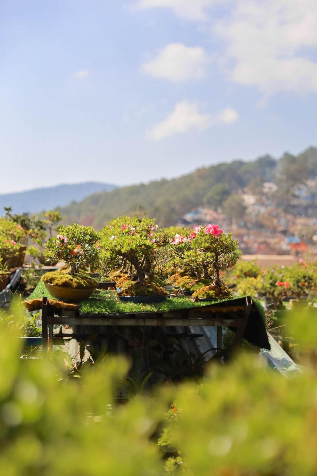 Ziczac Homestay Đà Lạt Zewnętrze zdjęcie